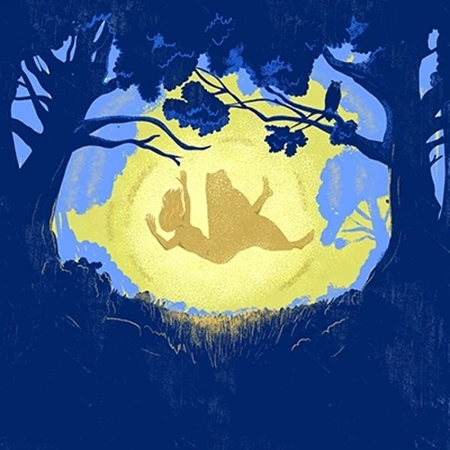 Ilustrace pro audioknihu Neila Gaimana – Hvězdný prach. V lese padá žena z nebe.