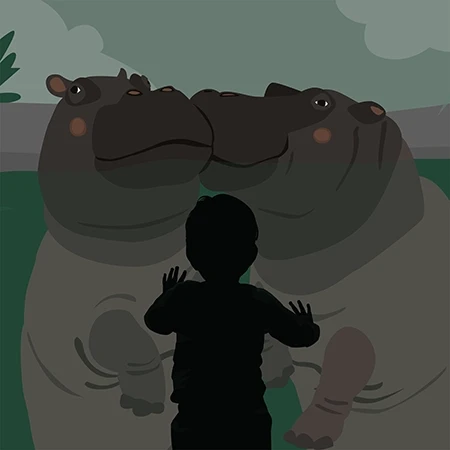 Hošík hrošík autorská kniha. Silueta chlapce v zoo. Kouká na dva hrochy koupající se za sklem v bazénu.