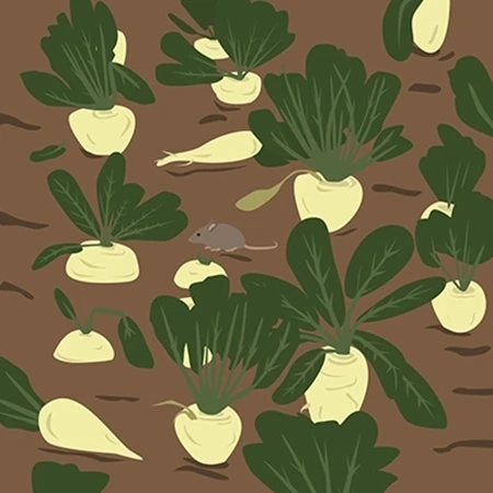 Ilustrace do publikací/obrázkových statistik Národního zemědělského muzea – Půda, Voda a Potraviny. Kresba s myší pobýhaící v řepném poli.