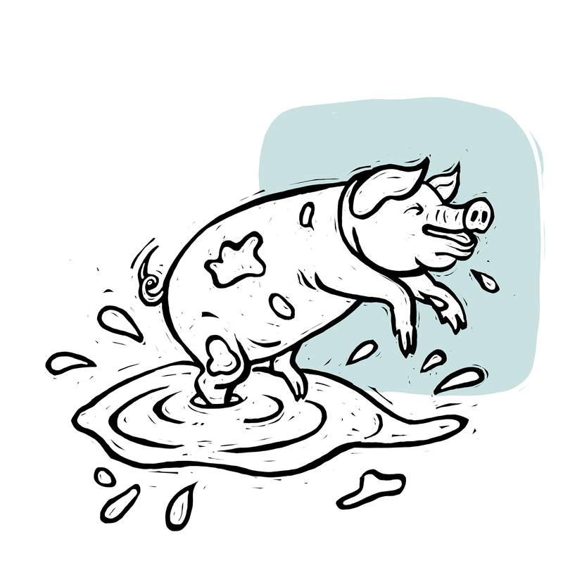 Matesovy říkanky, omalovánky, první díl. Veselý čuník si skáče v bahně.