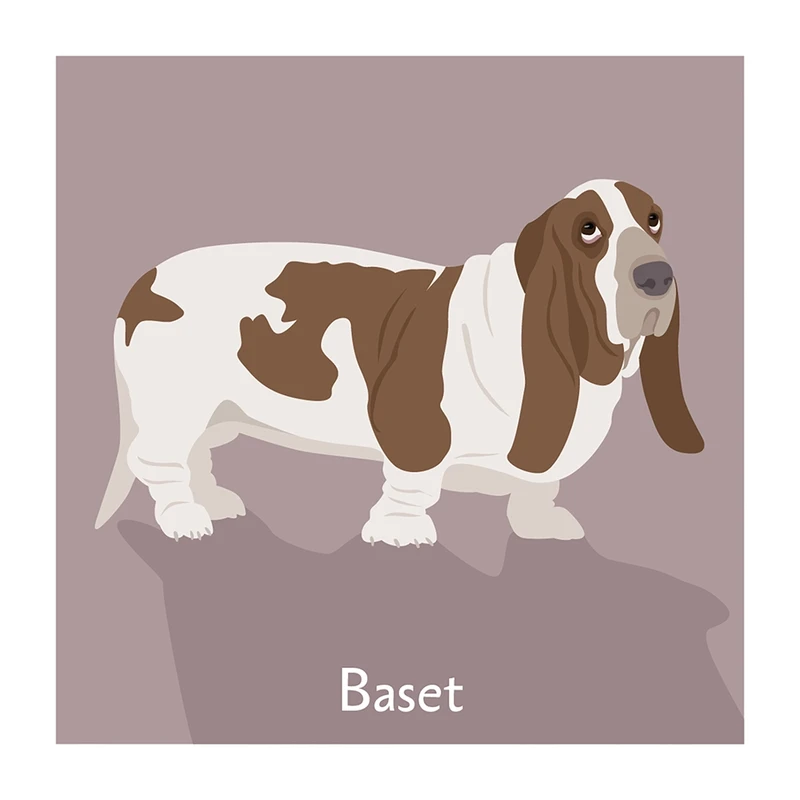 Pexeso Psi: motiv baseta