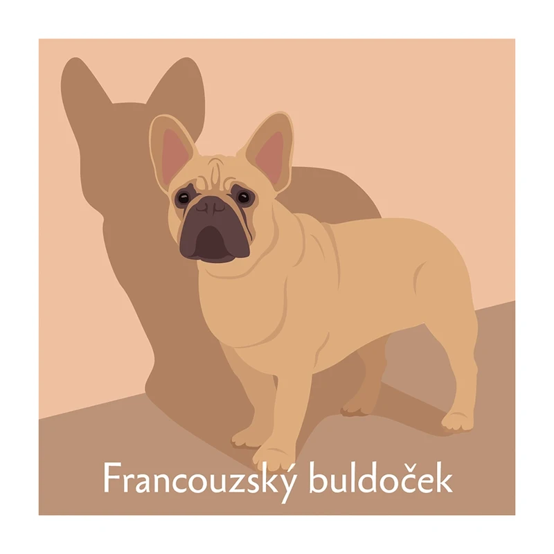 Pexeso Pii: motiv francouzského buldočka