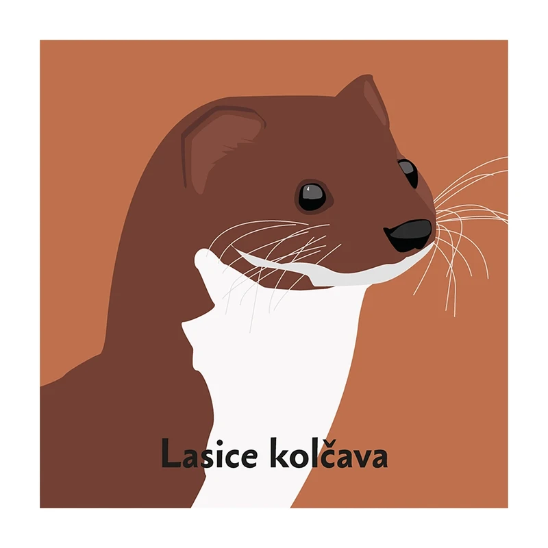 Pexeso Les: motiv lasičky