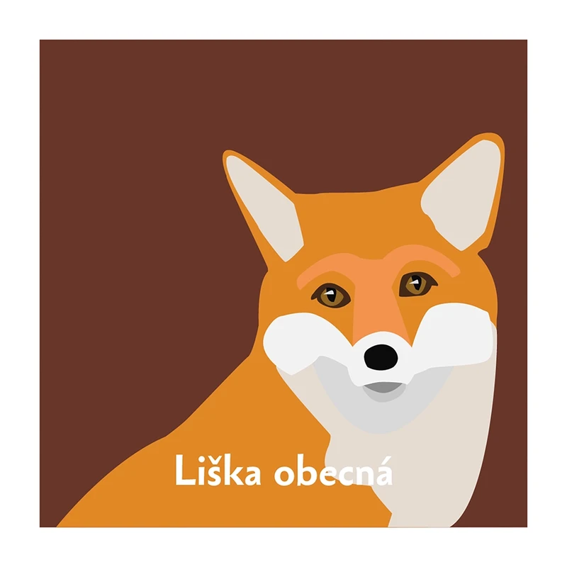 Pexeso Les: motiv lišky