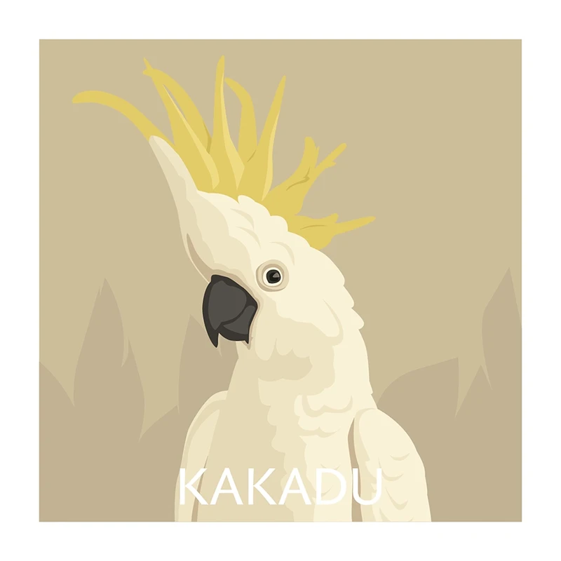 Pexeso Ptáci: motiv papouška kakadu