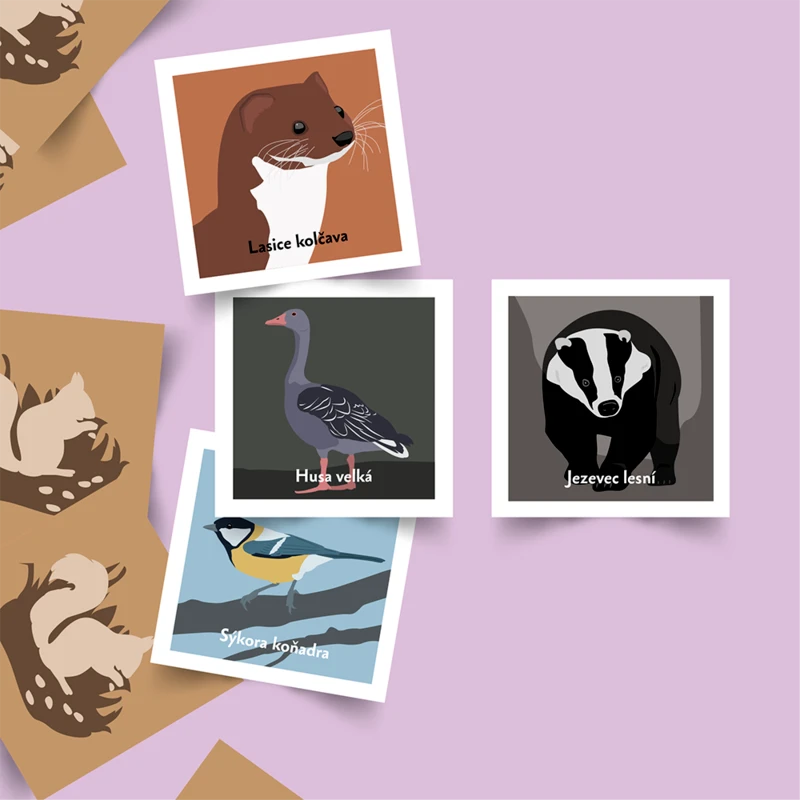 Pexeso Koho potkáš v lese