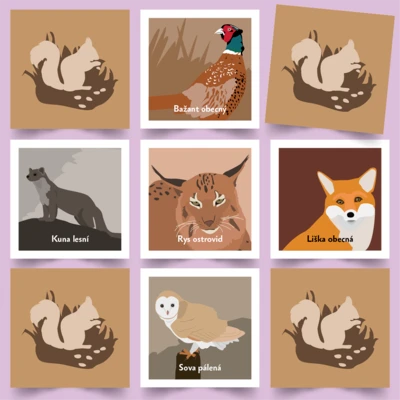 Pexeso Koho potkáš v lese