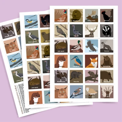 Pexeso Koho potkáš v lese