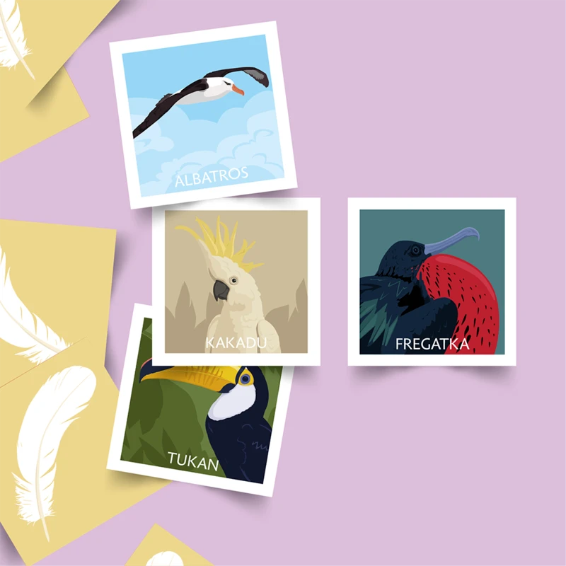 Pexeso Koho Ptácei, hlavní obrázek