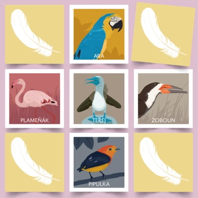 Pexeso Koho Ptáci