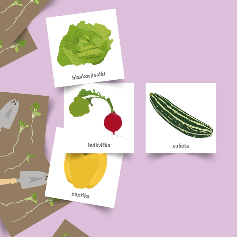 Pexeso Koho Zelenina, hlavní obrázek