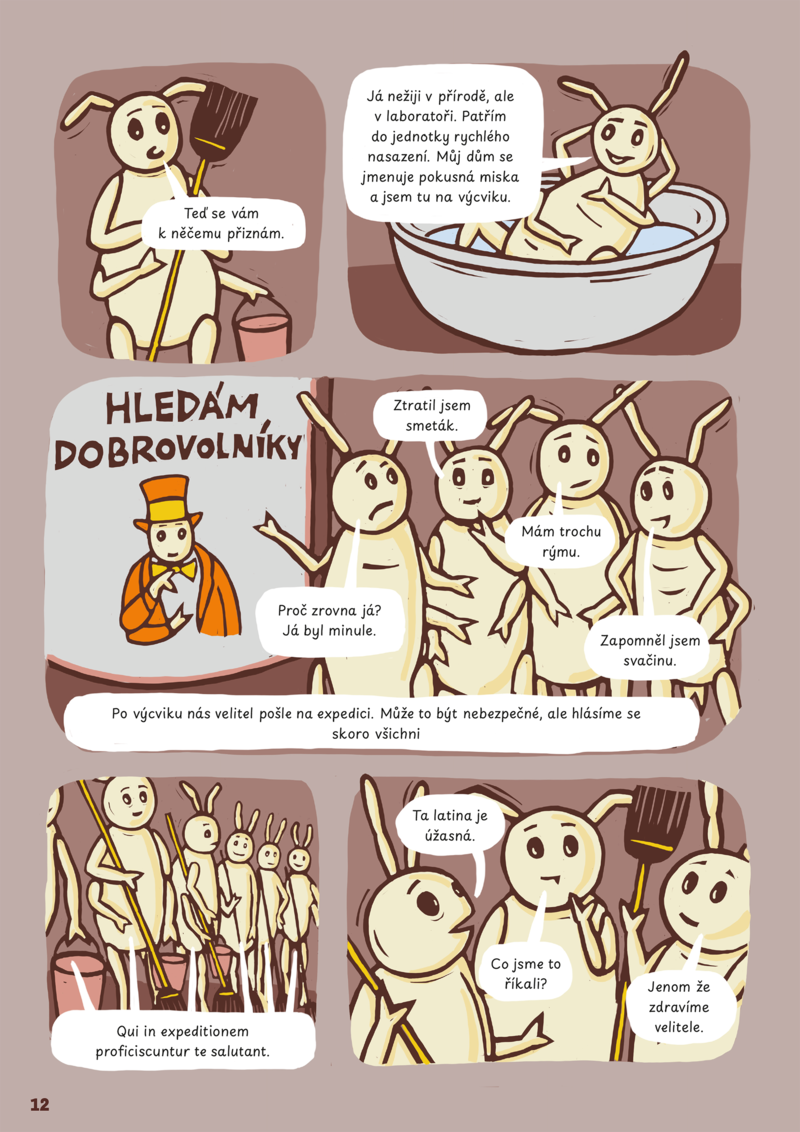 Příběh půdy – ukázka z komiksu o chvostoskocích.