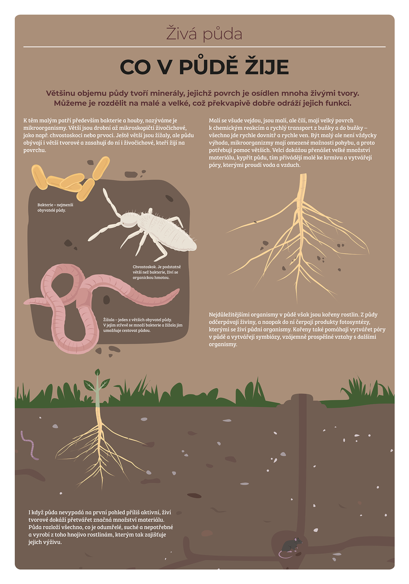 Příběh půdy – výstavní panel o životě v půdě.