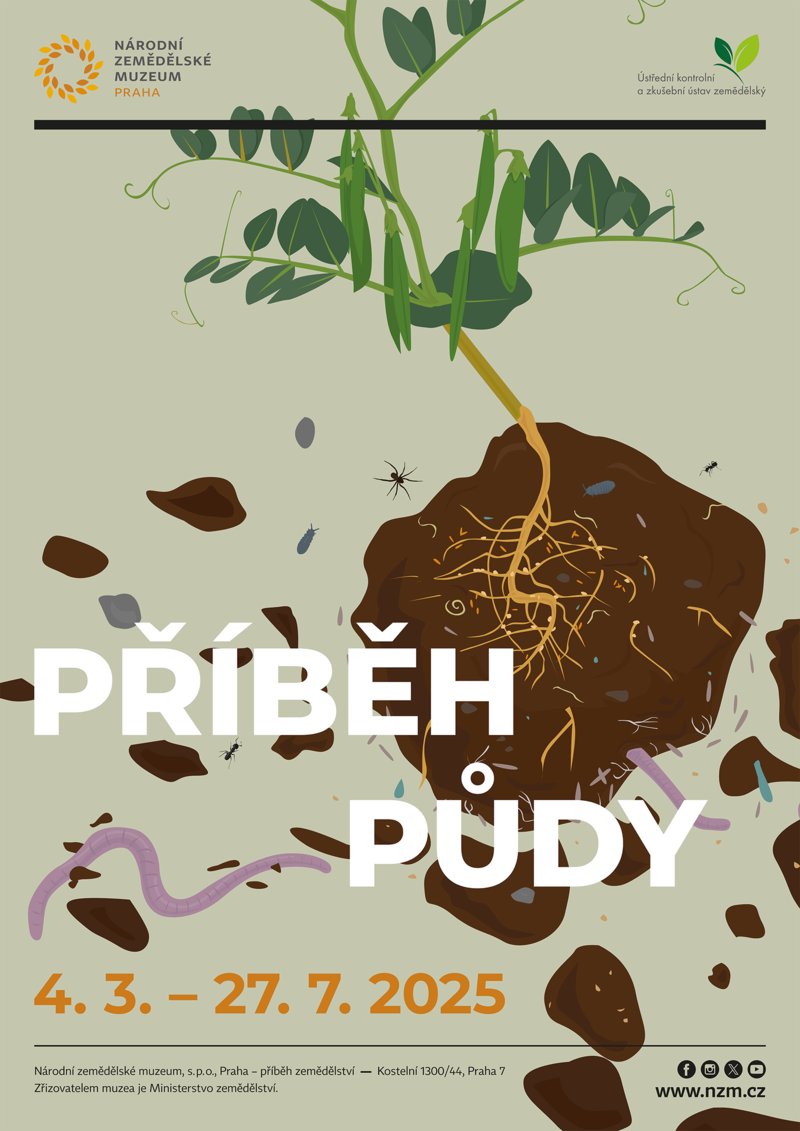 Příběh půdy – propagační výstavní plakát. Hlavním motivem je sazenice hrachu i s kořeny obalenými půdou a živočichy v ní žijicími.